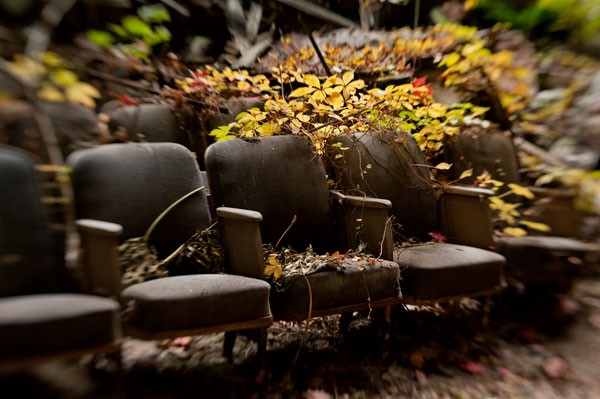 Nature Reclaims The Mayfair Theater