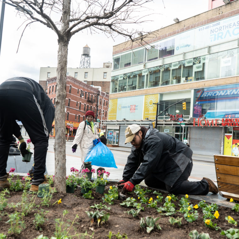 March 31, 2020: Joseph and Will, employees of the Horticultural Society of New York, planting flowers at Roberto Clemente Plaza while a bottle recycler looks on, East 149th Street at Third Avenue, Bronx, New York. © Camilo José Vergara 